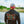 Load image into Gallery viewer, Florida Flag Performance Hoodie